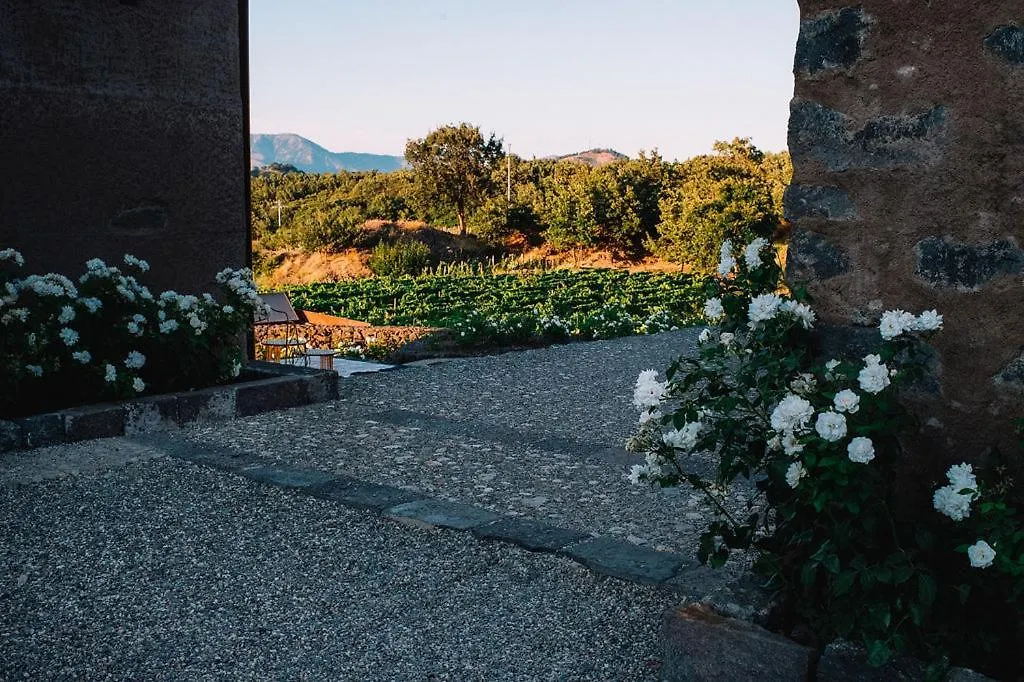 Tenuta Di Fessina Castiglione De Sicilia Feriested